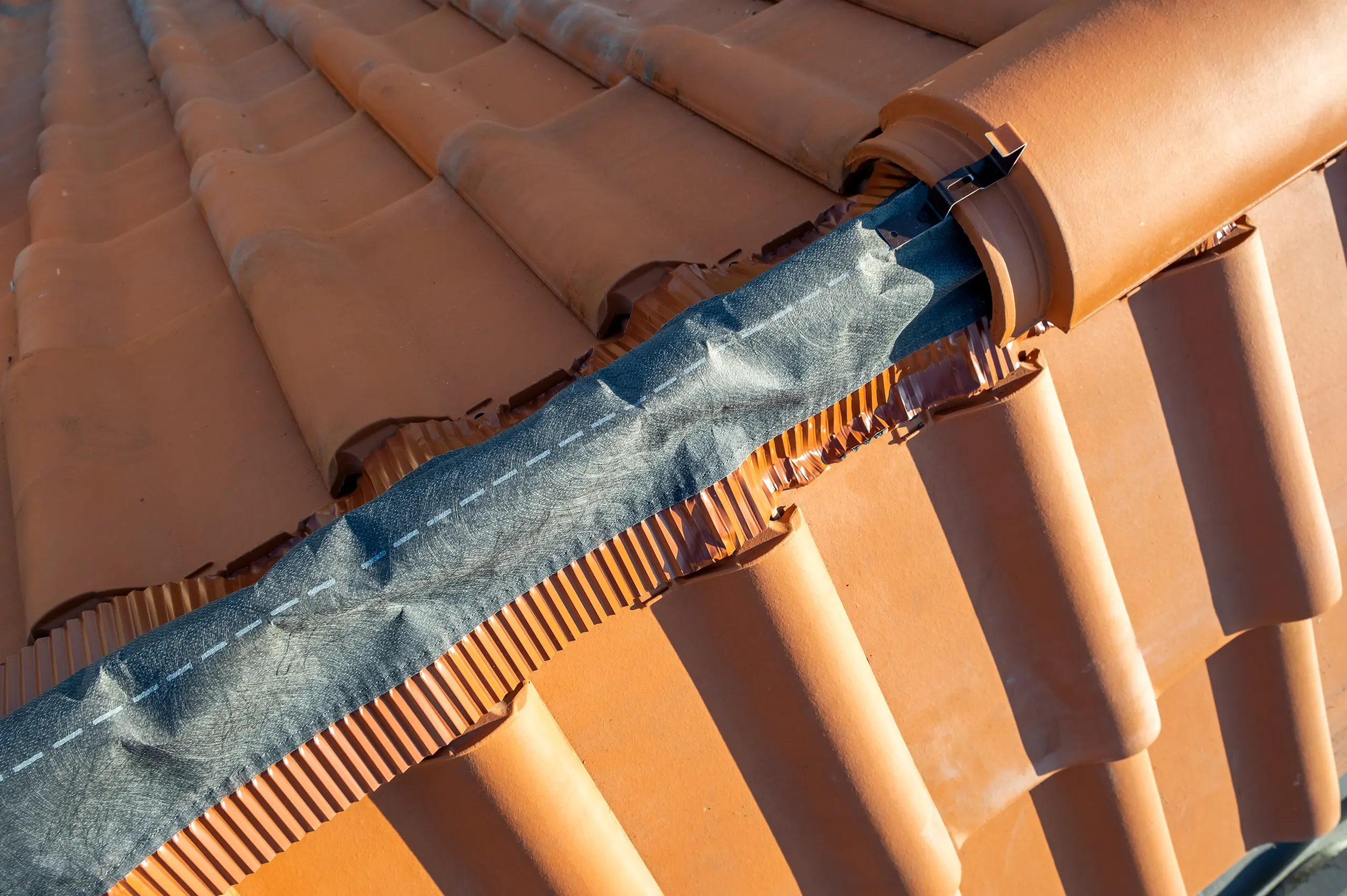 Roof Ridge Maintenance